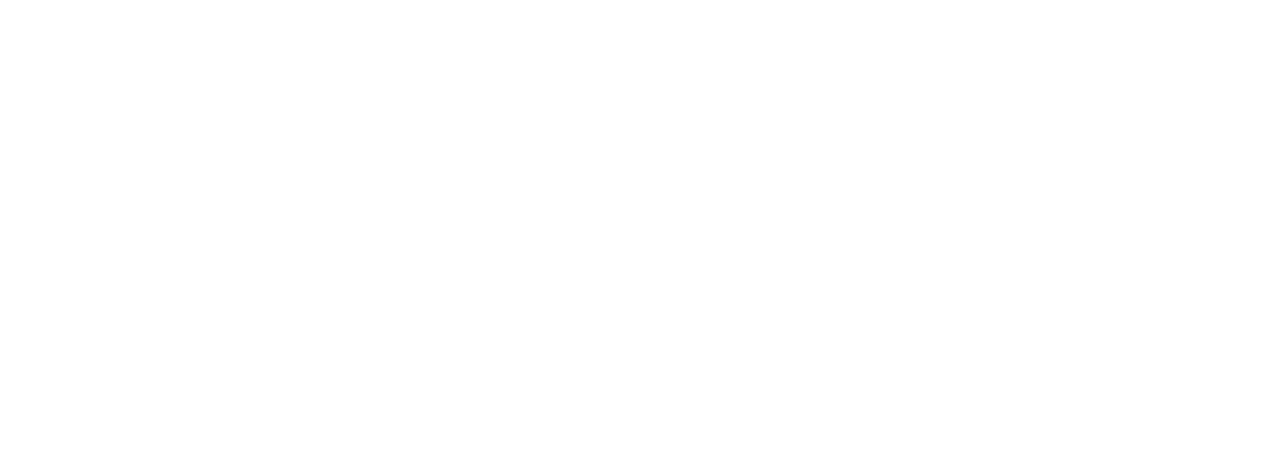 windhoff-group-logo-weiss