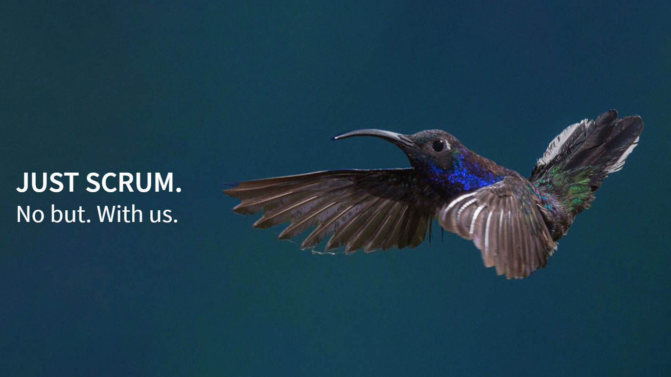 screenshot-scrum-kolibri