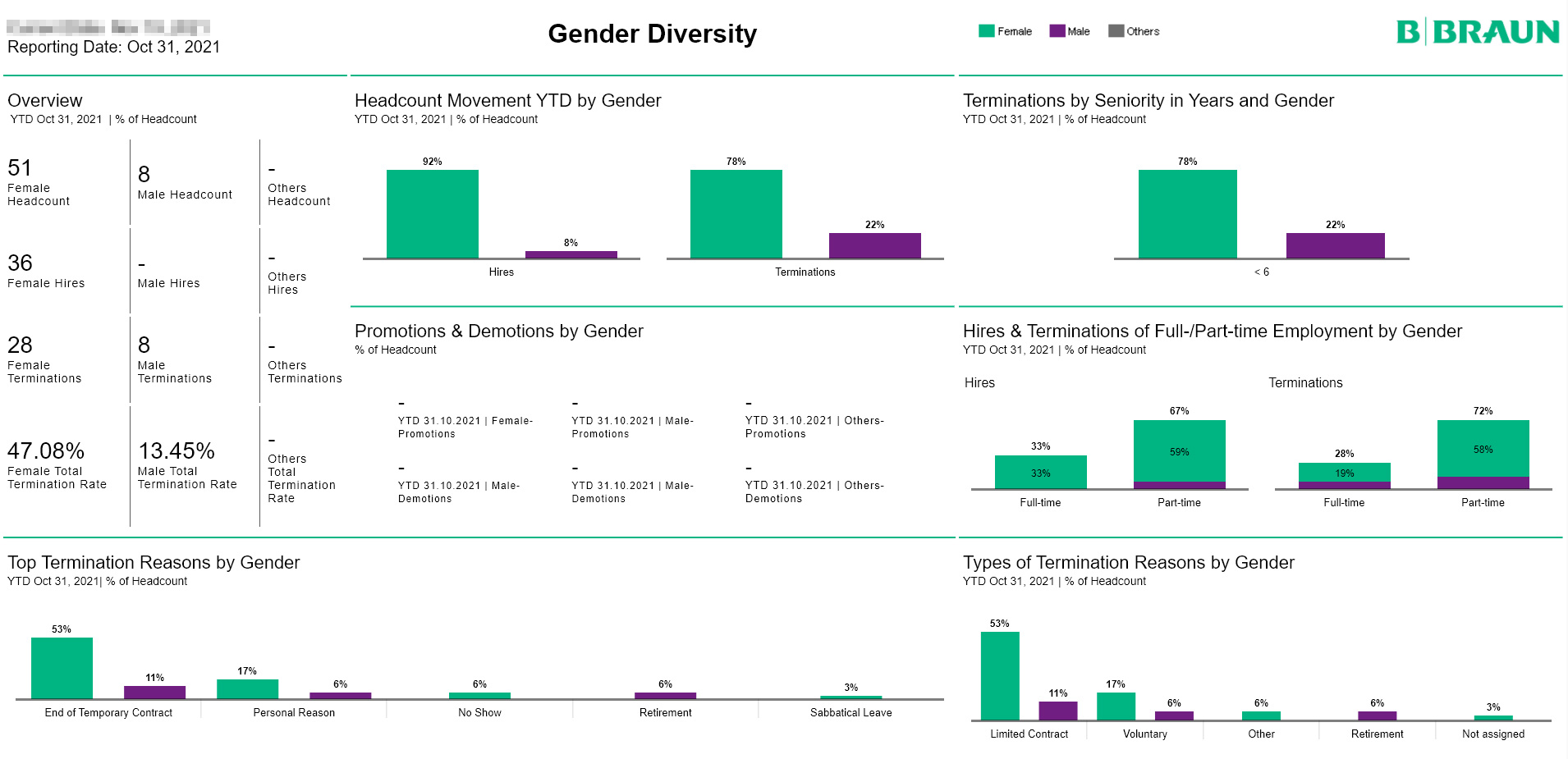 BBraun-Dashboard-Gender-Diversity-Dummy